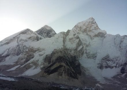 10321e4cb1773ab8c4d656dddab14398