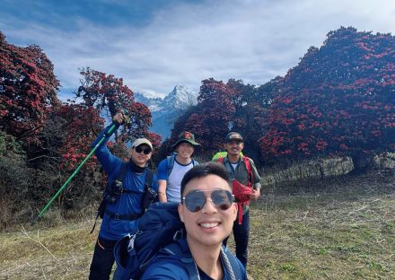 Poon Hill Trek in Spring