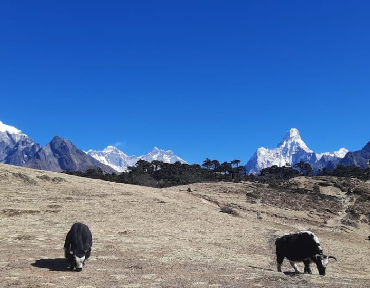 Private Everest Base Camp Trek