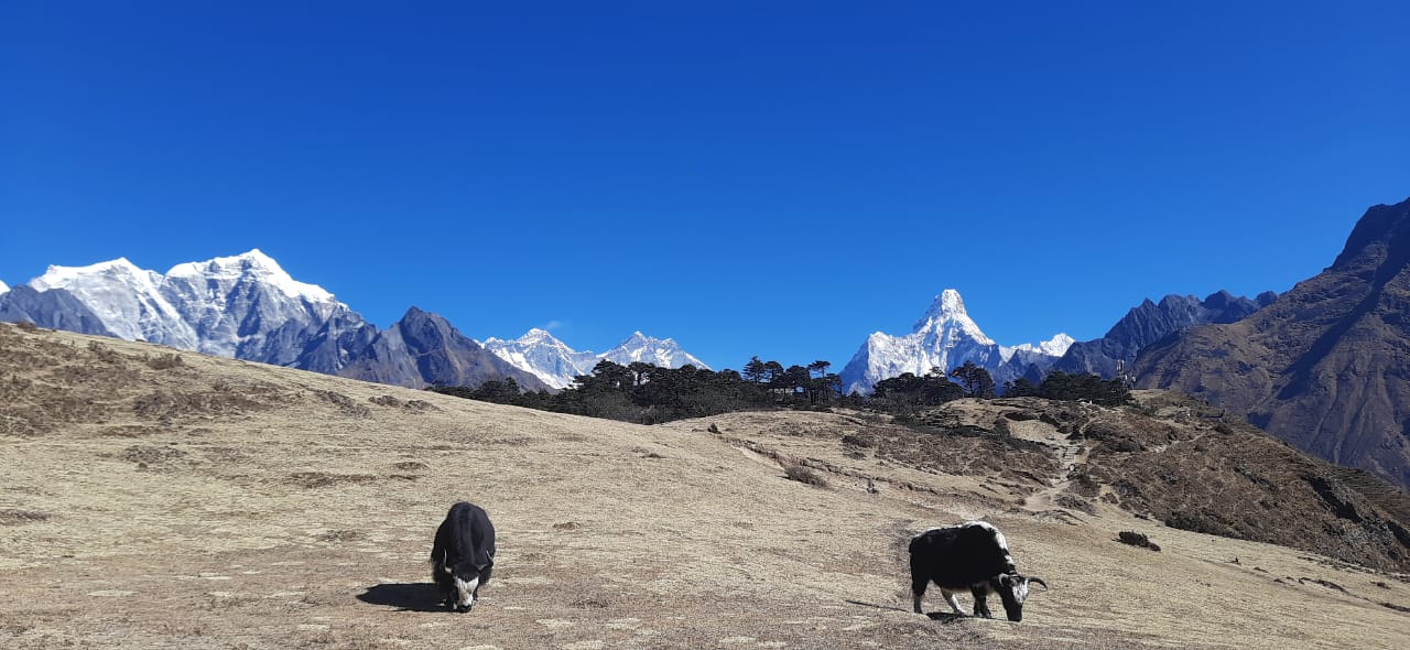 Private Everest Base Camp Trek