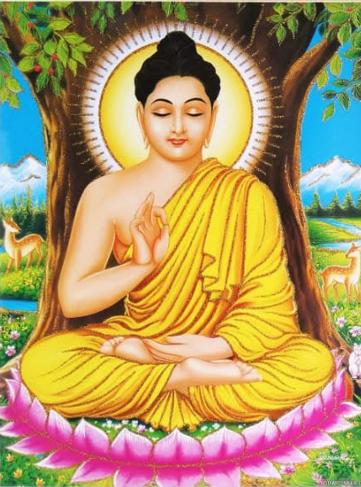 Where was Buddha Born