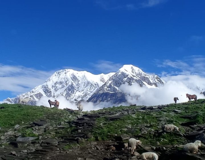 Surrounding Mardi Himal