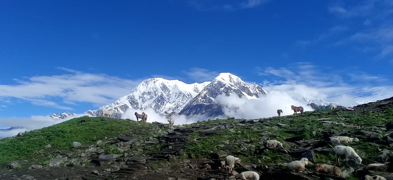 Surrounding Mardi Himal