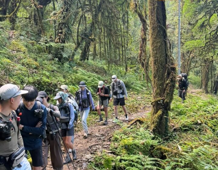Mardi Himal Trek Trail Conditions and Difficulty