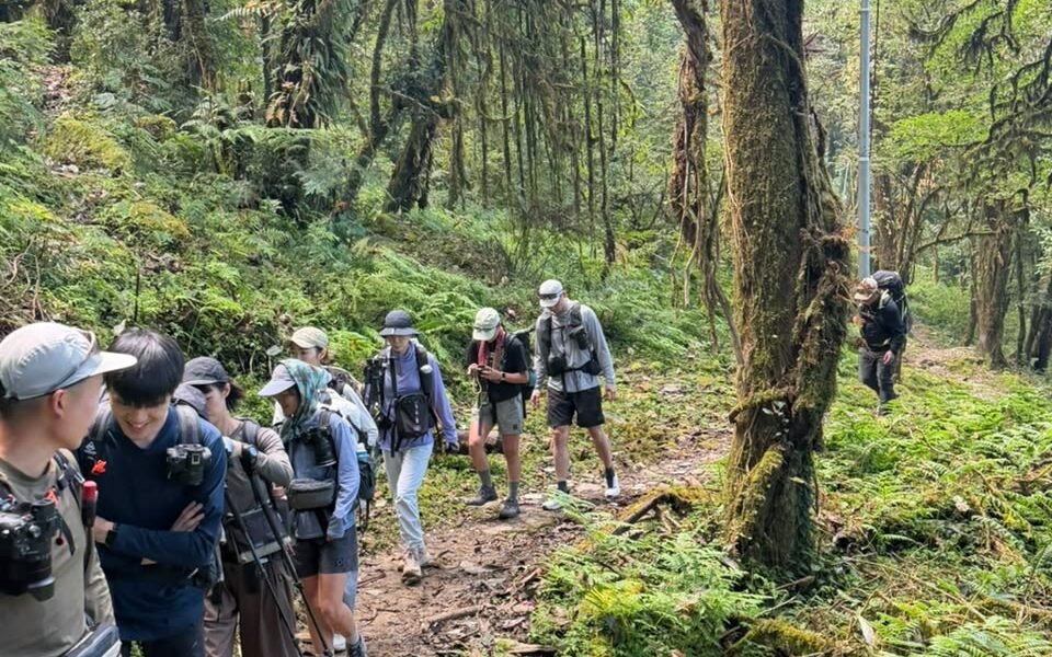 Mardi Himal Trek Trail Conditions and Difficulty